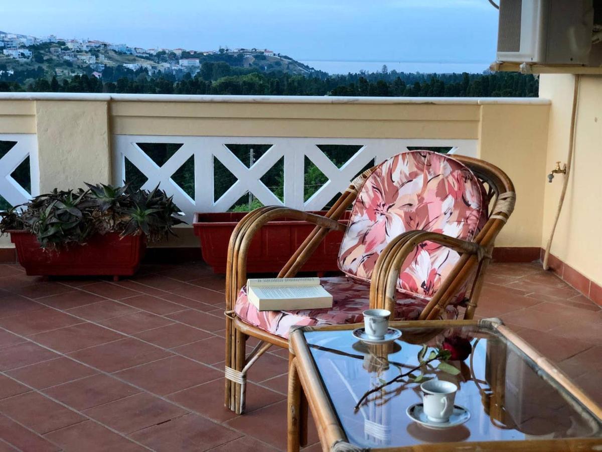 Livádhia Villa Andros Epoque מראה חיצוני תמונה