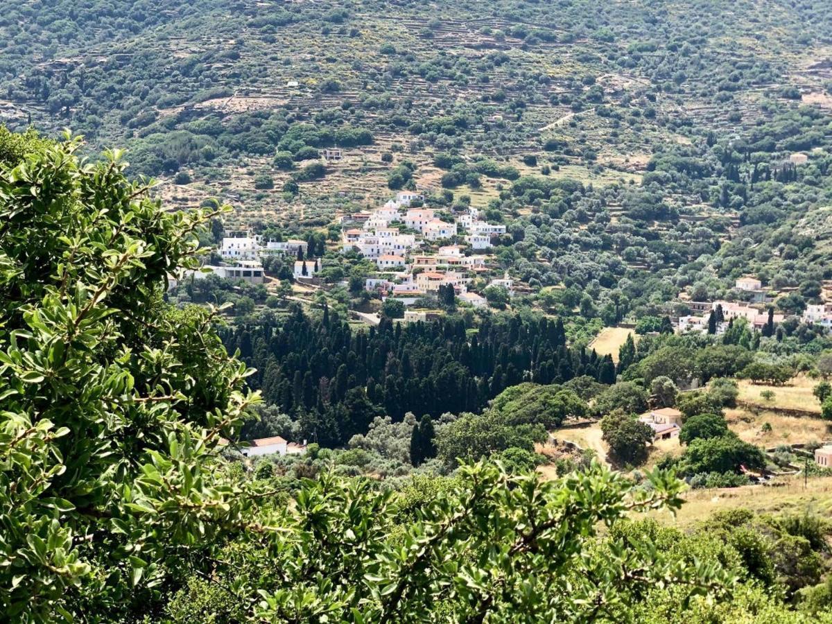 Livádhia Villa Andros Epoque מראה חיצוני תמונה