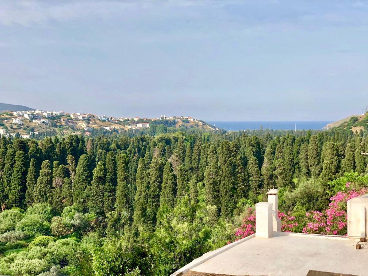 Livádhia Villa Andros Epoque מראה חיצוני תמונה